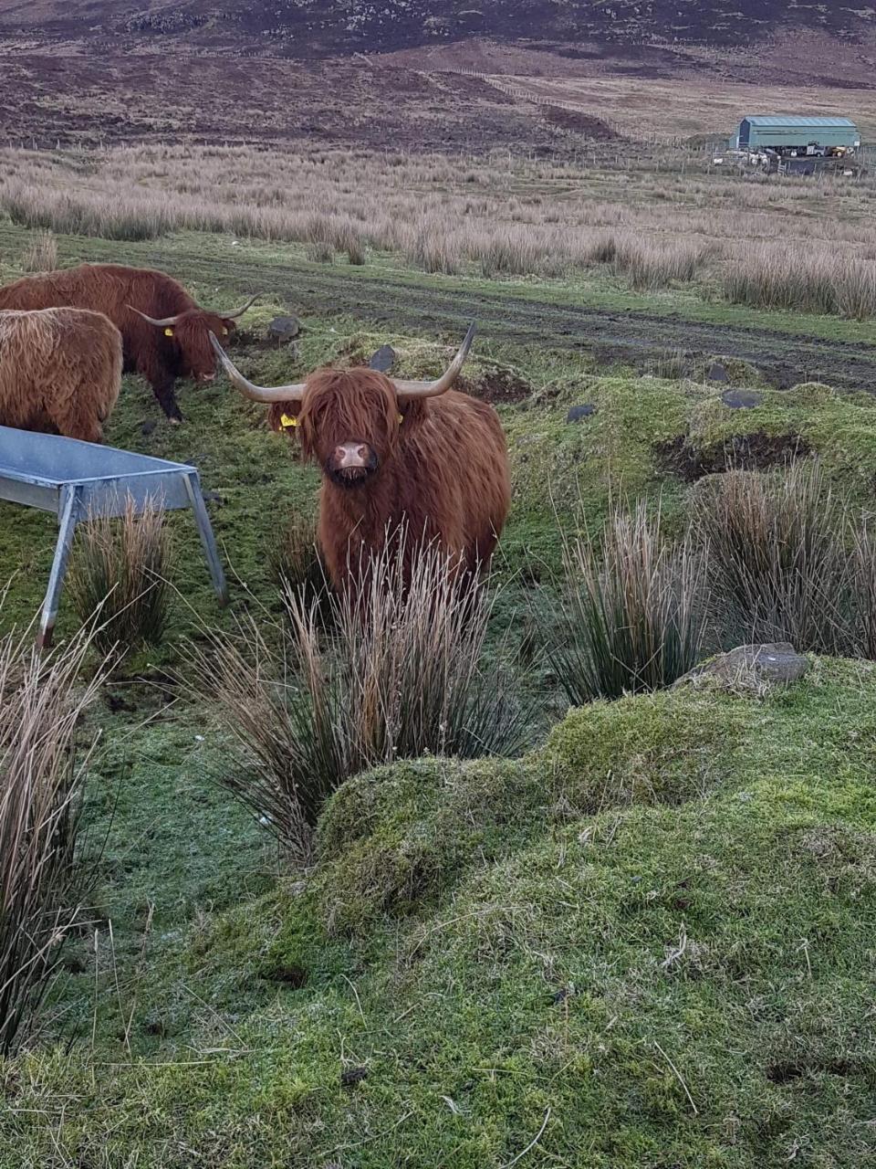 Trotternish B&B Kingsburgh Bagian luar foto